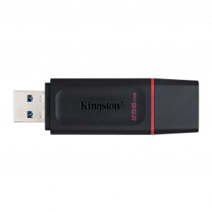 Clé USB Kingston DataTraveler Exodia — 256 Go